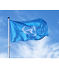 Verenigde Naties Vlag