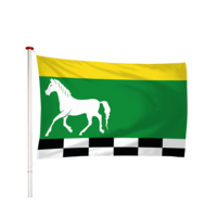 Dorps- Stads- en Streekvlaggen