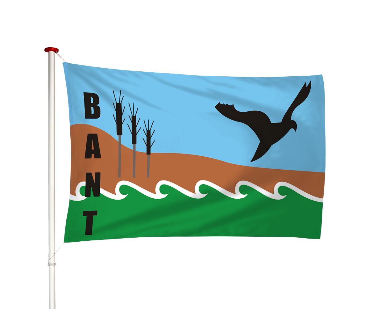 Vlag Bant