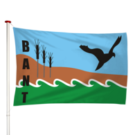 Vlag Bant
