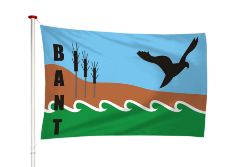Vlag Bant
