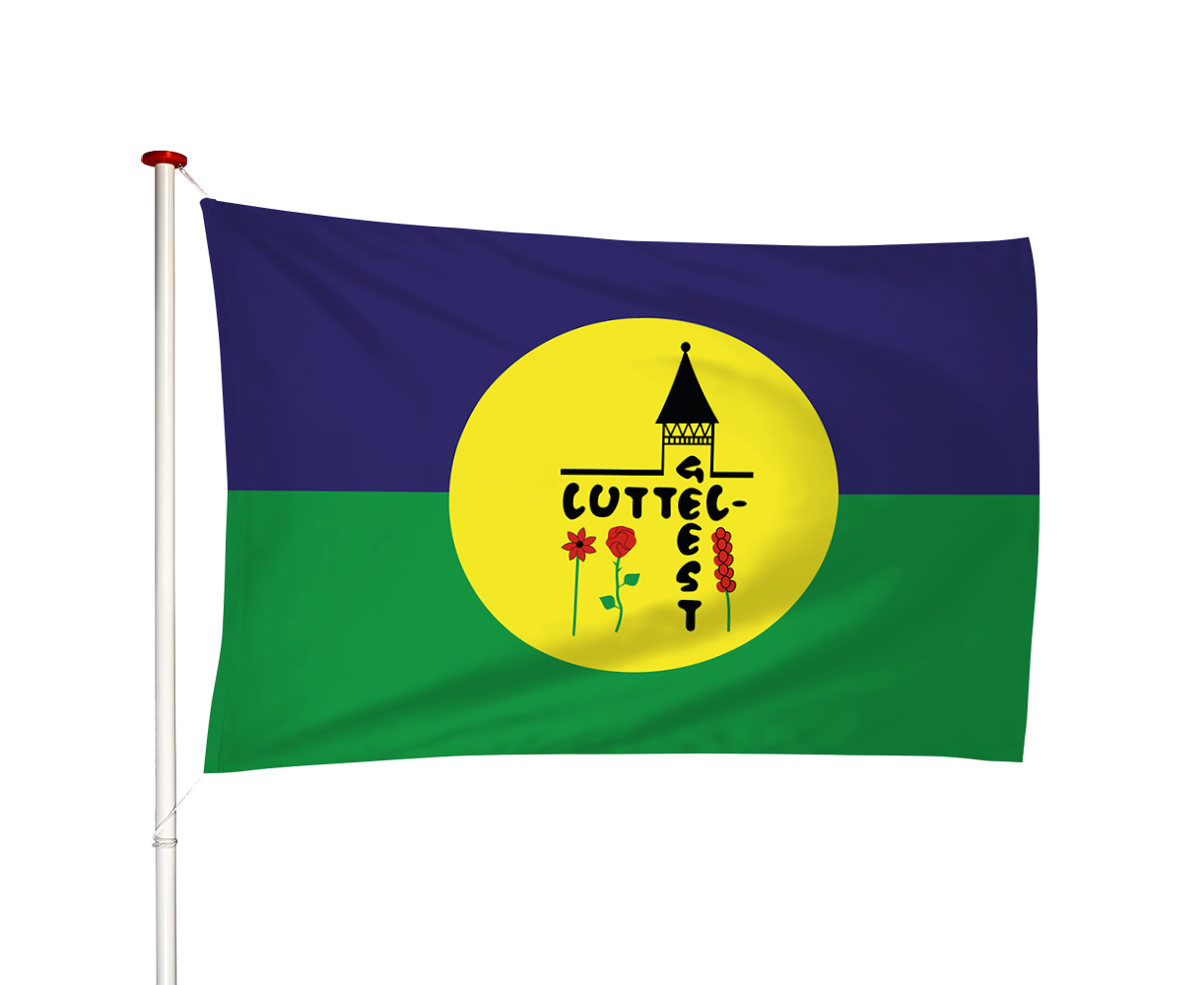 Vlag Luttelgeest