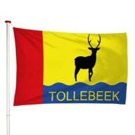 Vlag Tollenbeek