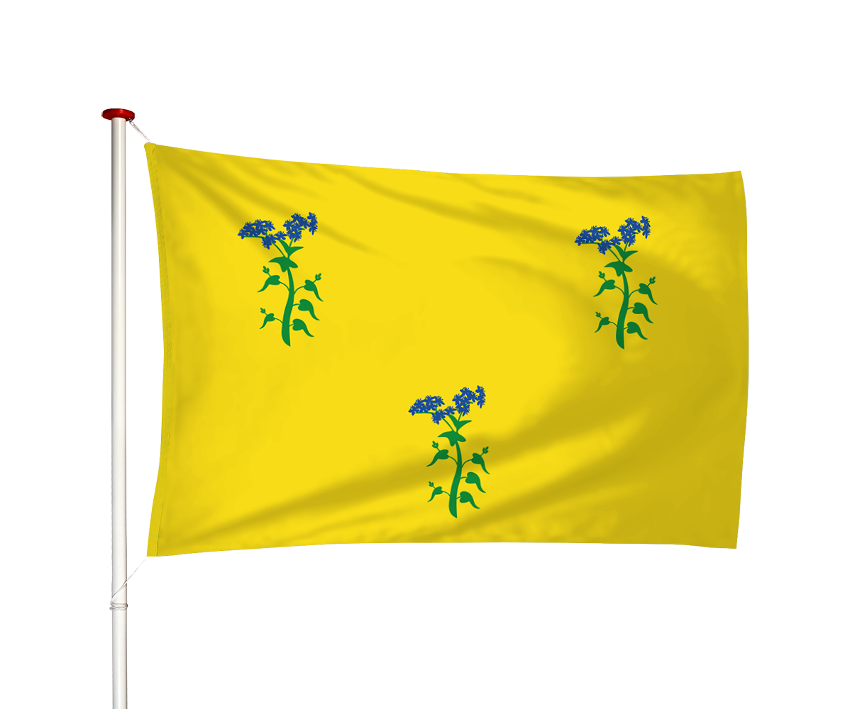 Vlag Zuiddorpe