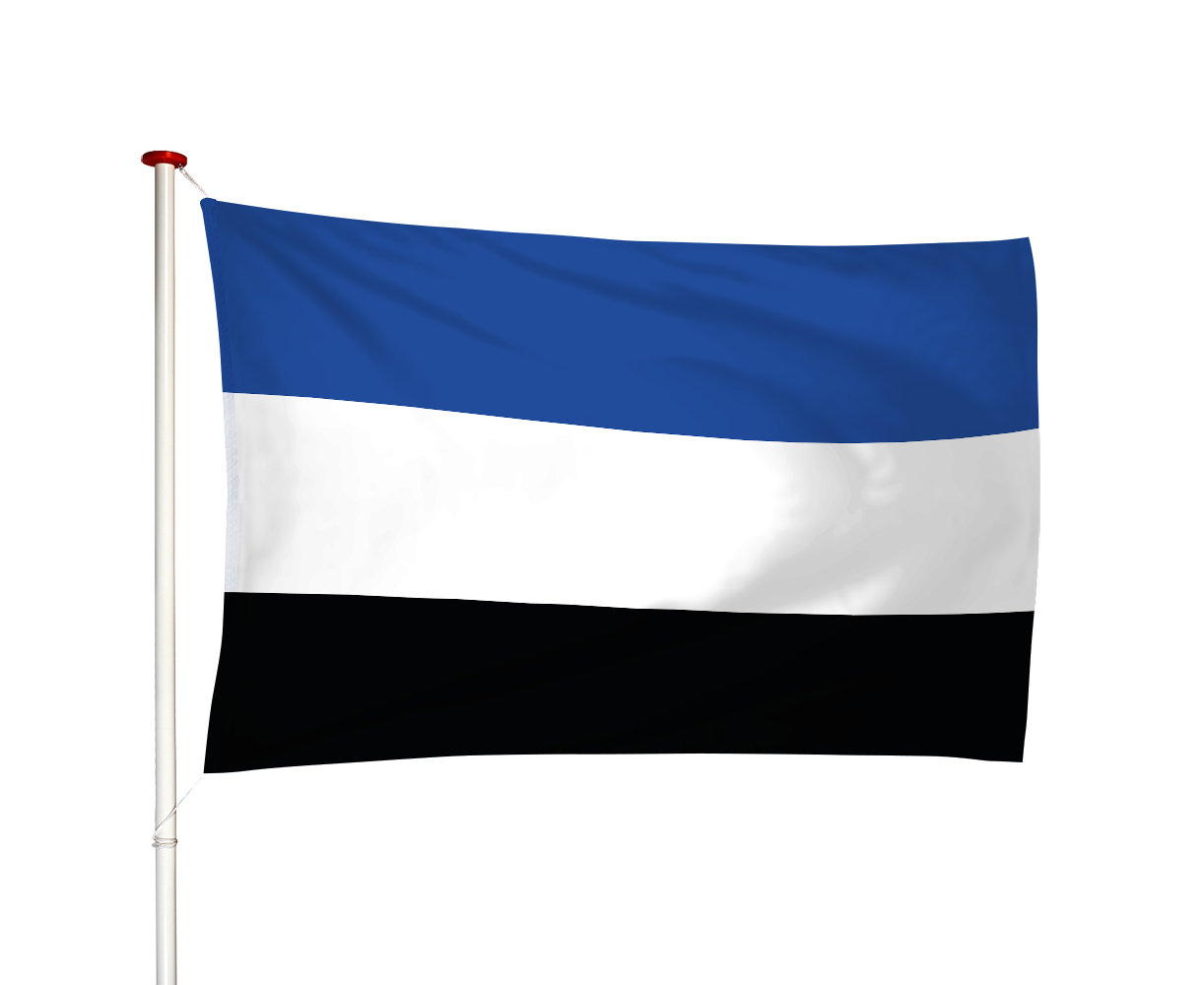 Vlag 's-Gravenpolder