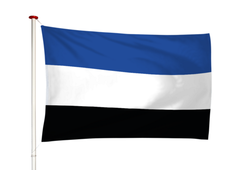 Vlag 's-Gravenpolder