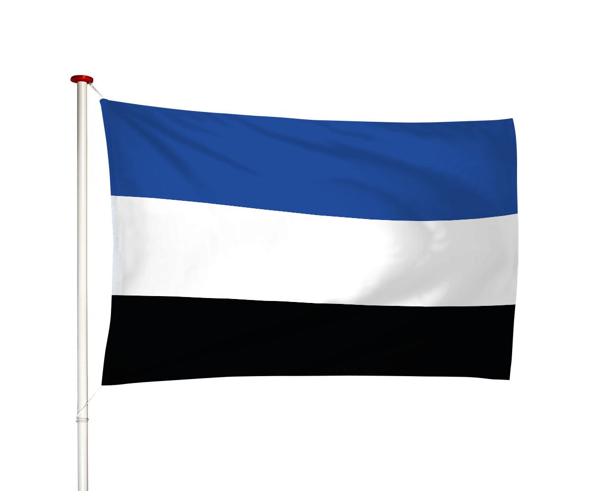 Vlag 's-Gravenpolder