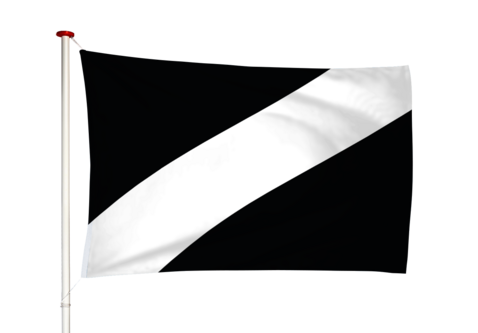 Vlag Rilland