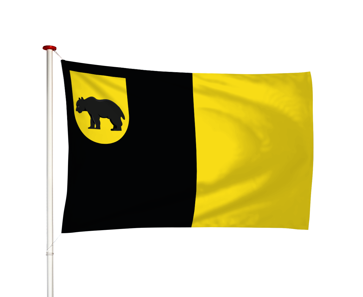 Vlag Baarland