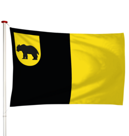 Vlag Baarland