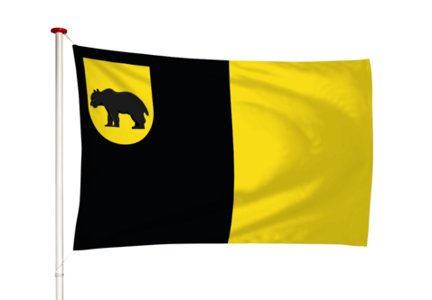 Vlag Baarland