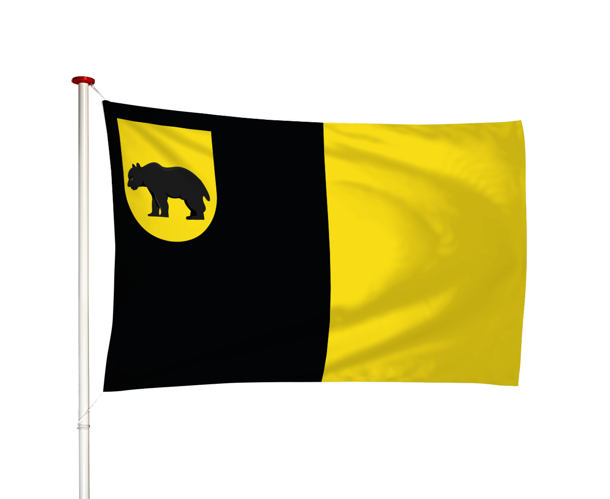 Vlag Baarland