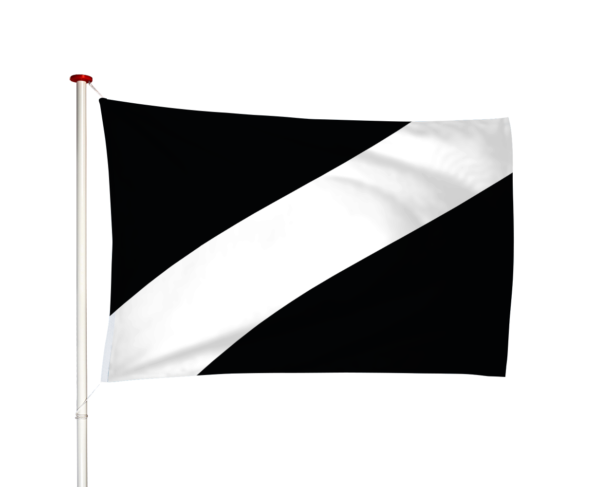 Vlag Rilland