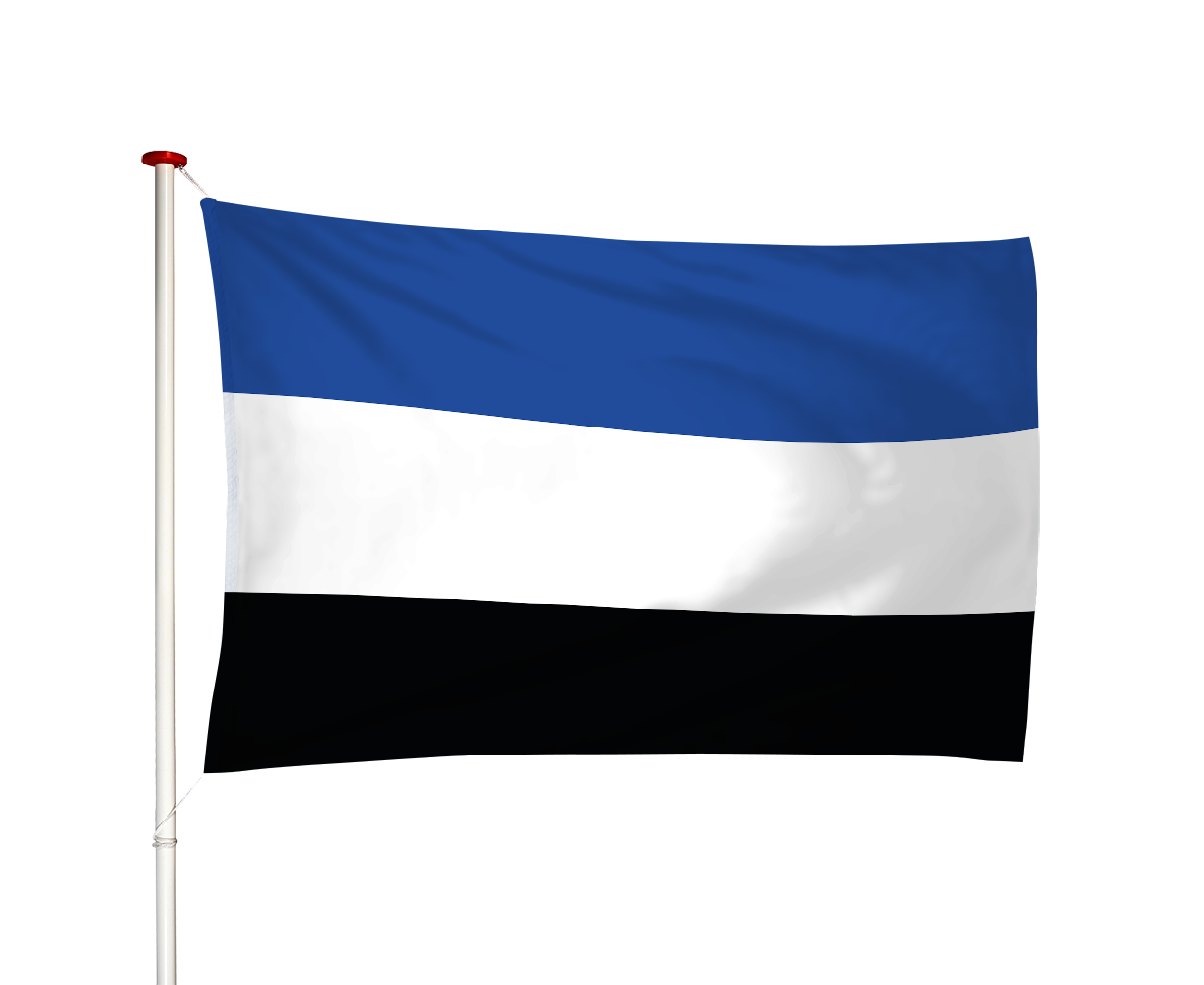 Vlag 's-Gravenpolder