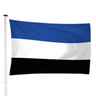 Vlag 's-Gravenpolder