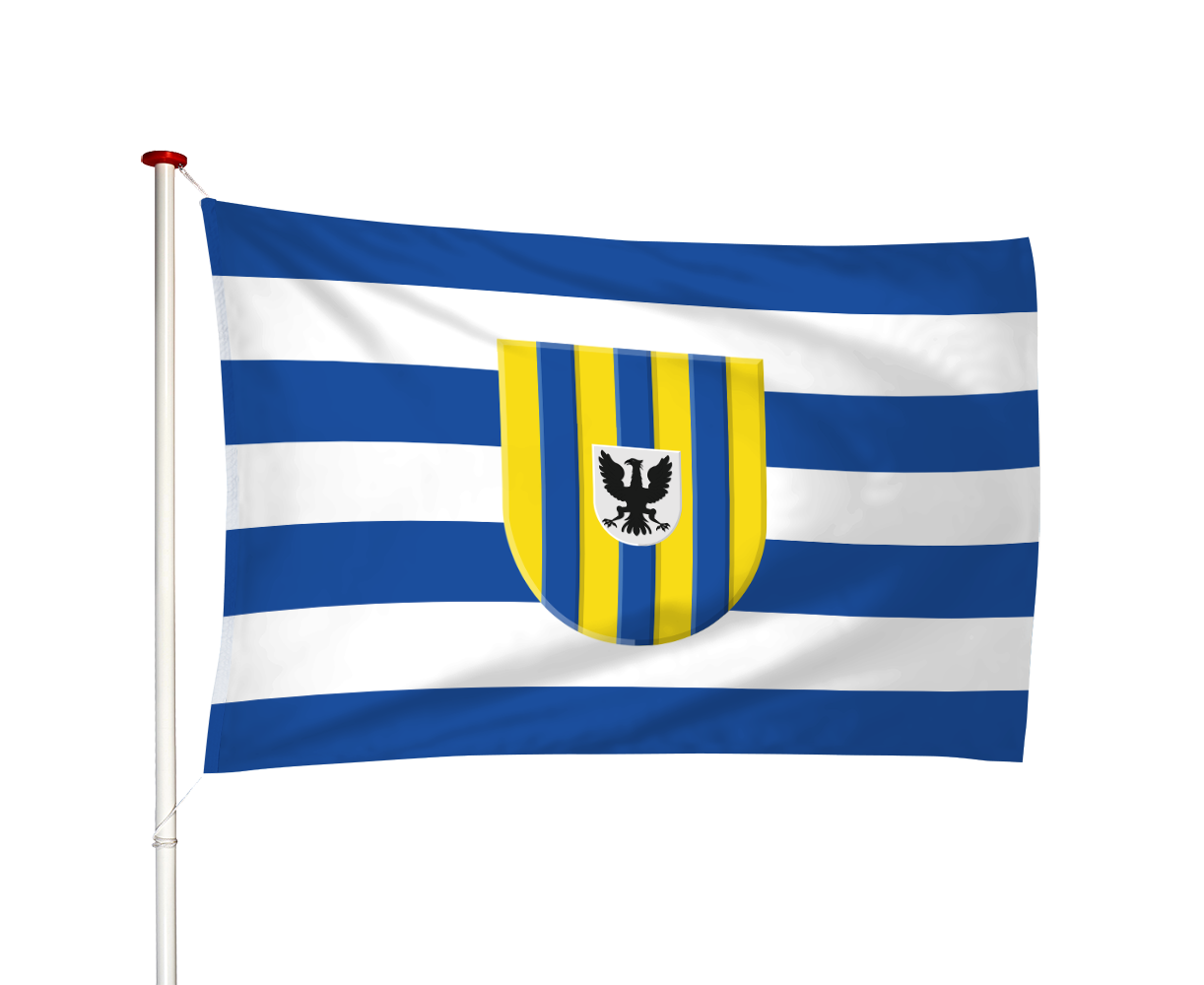 Vlag 's-Heer Arendskerke