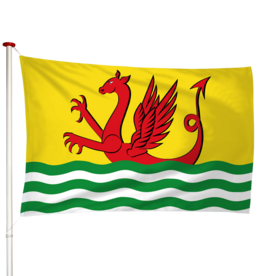 Vlag Wolphaartsdijk