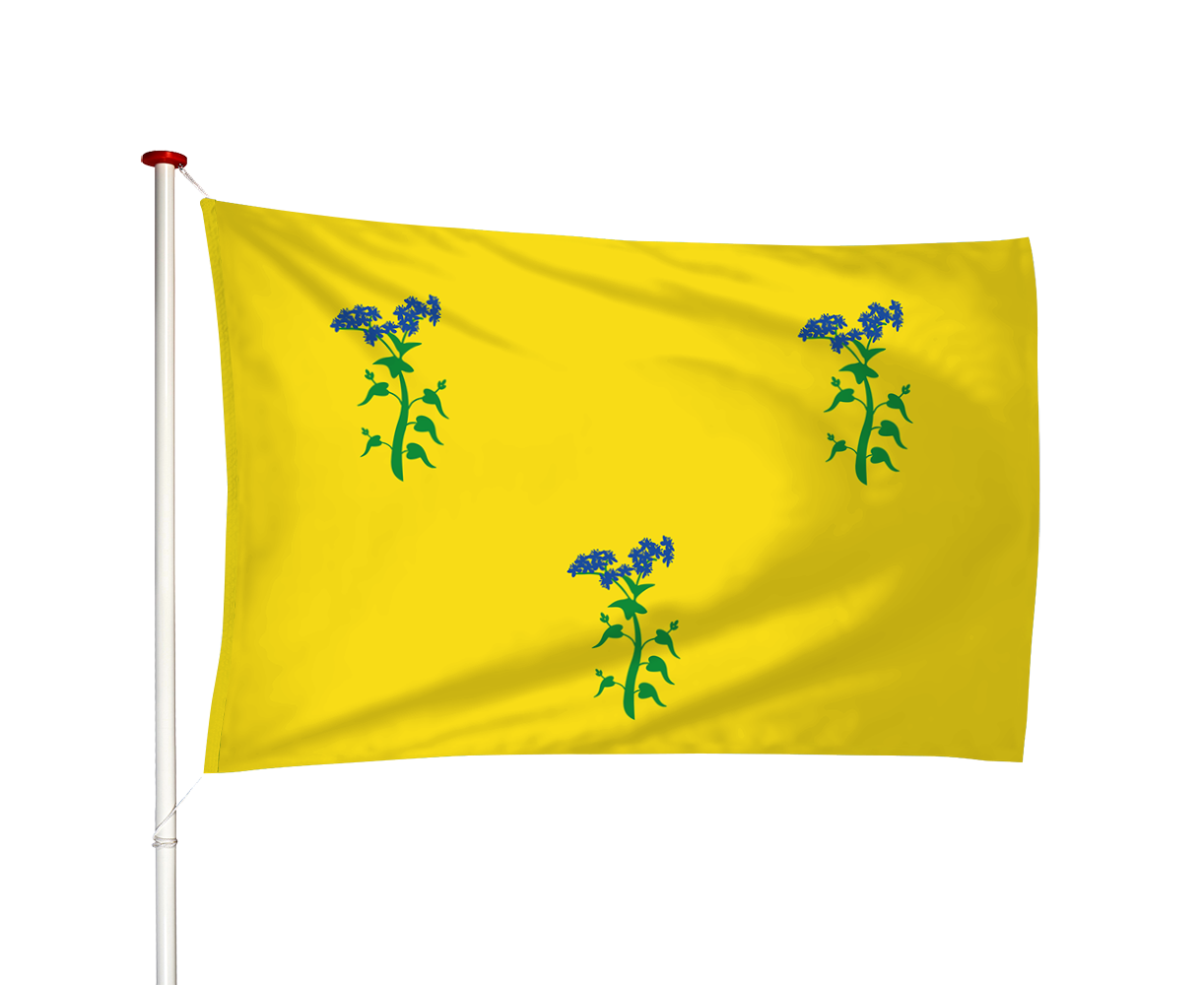 Vlag Zuiddorpe