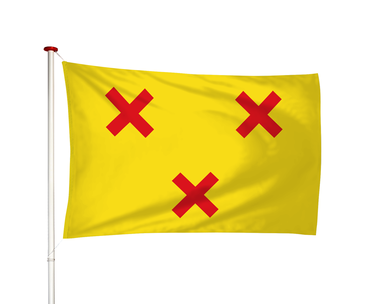 Vlag Kamerik