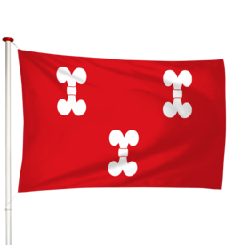 Vlag Zuilen