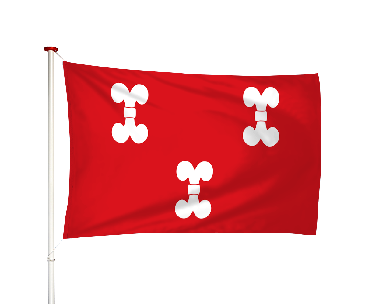 Vlag Zuilen