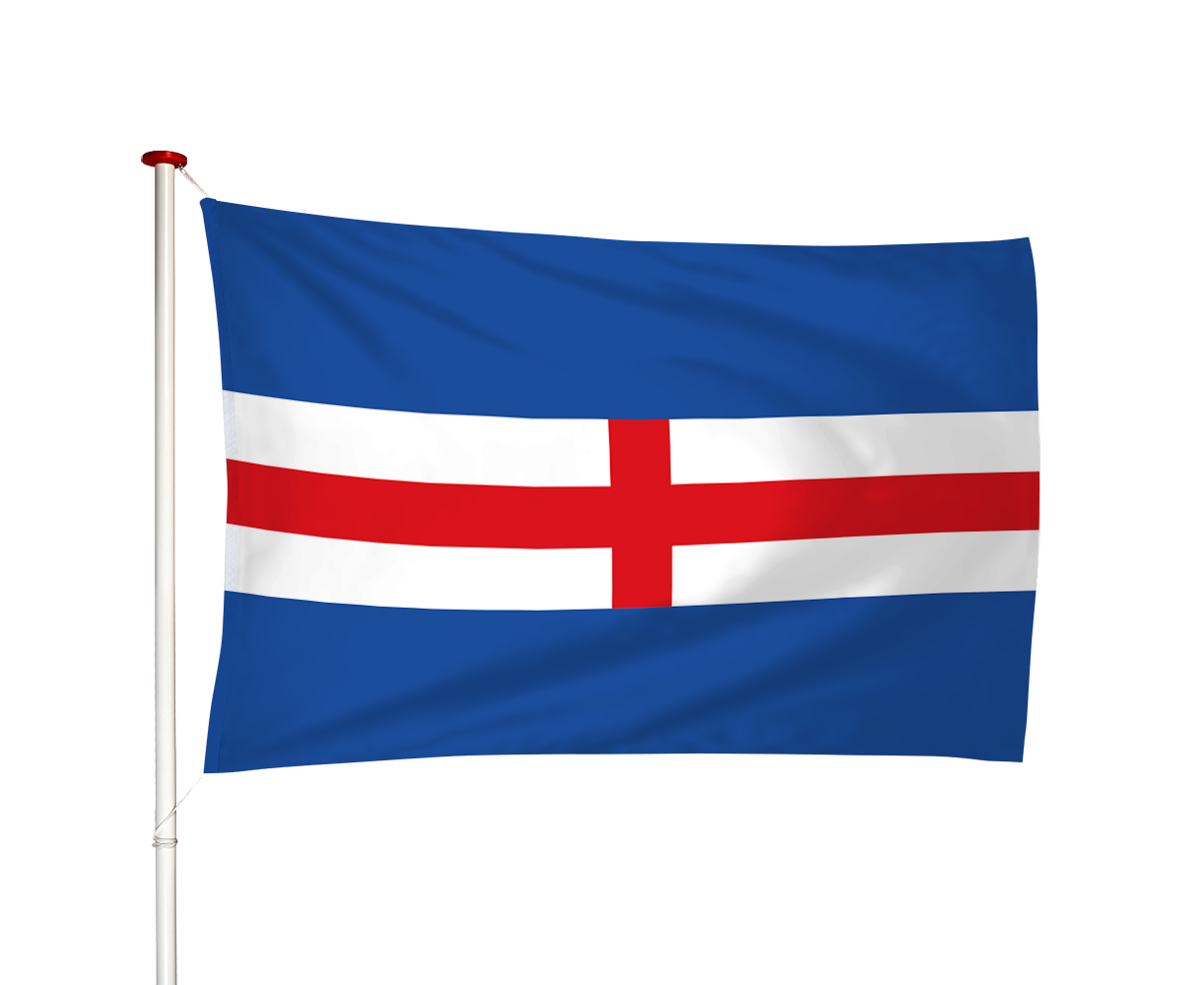 Vlag Hasselt