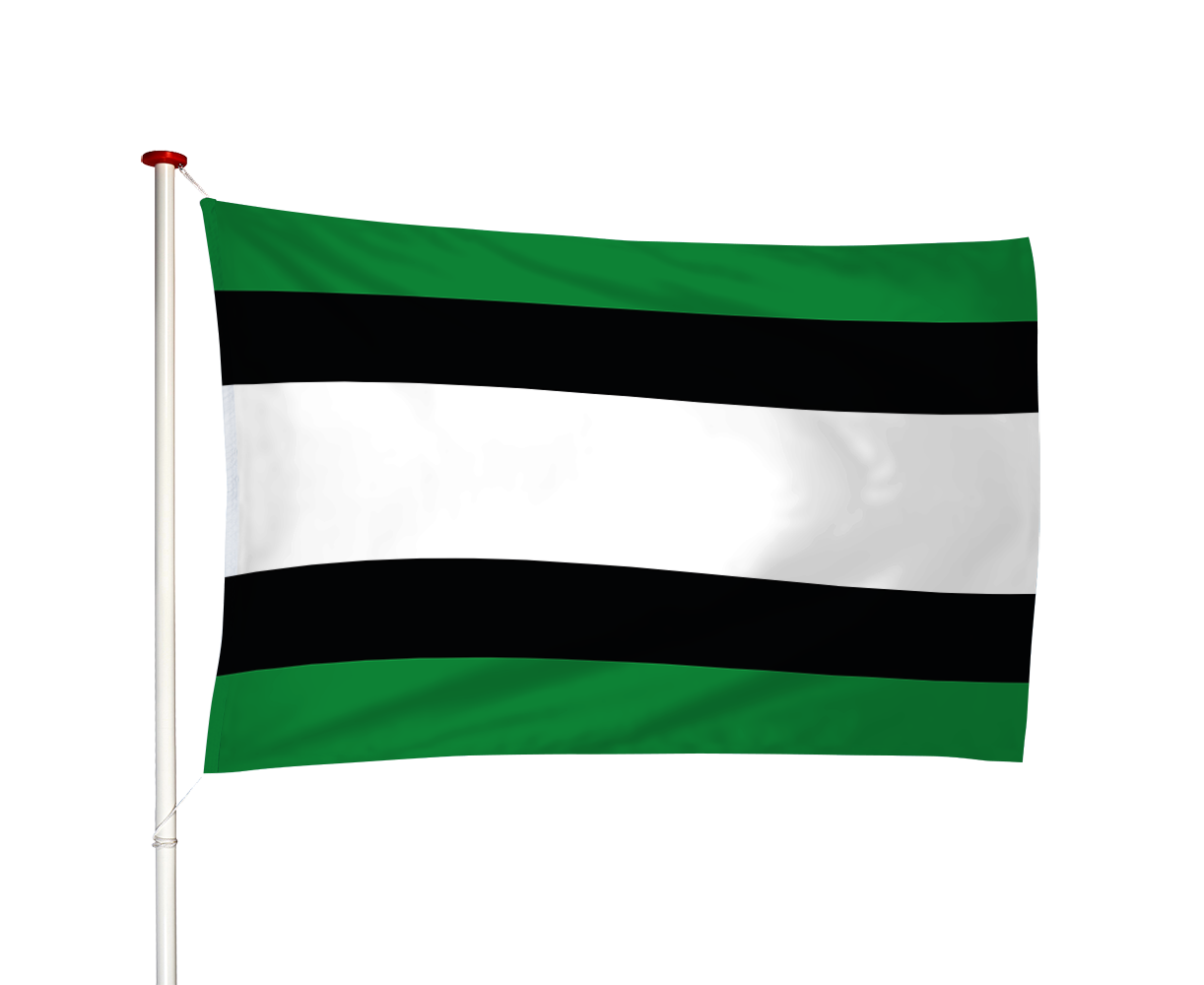 Vlag Heino