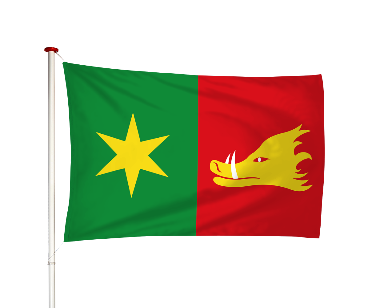 Vlag Holten