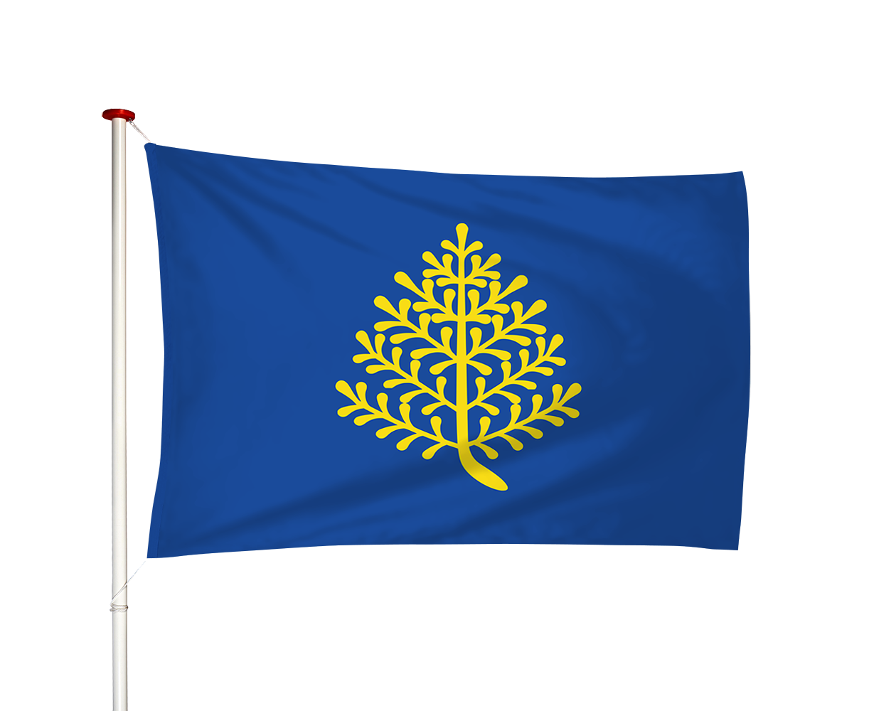 Vlag Rijssen