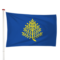 Vlag Rijssen