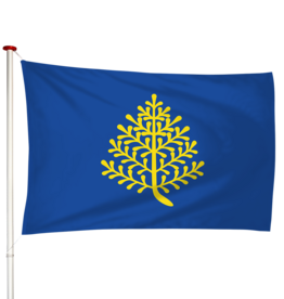 Vlag Rijssen
