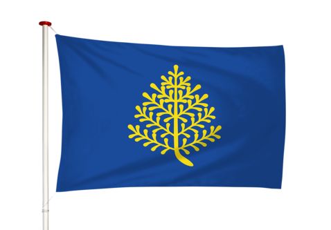 Vlag Rijssen