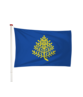Vlag Rijssen