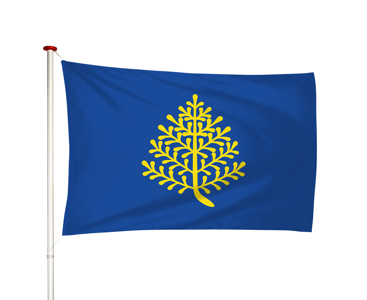 Vlag Rijssen