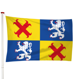 Vlag Steenwijkerwold