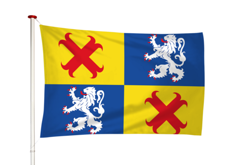 Vlag Steenwijkerwold