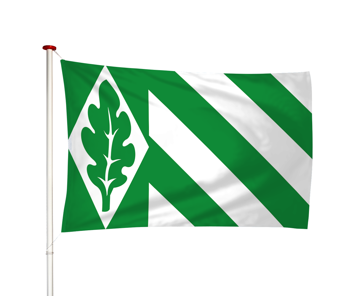 Vlag Vriezeveen