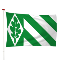 Vlag Vriezeveen