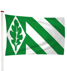 Vlag Vriezeveen