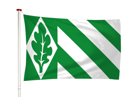 Vlag Vriezeveen