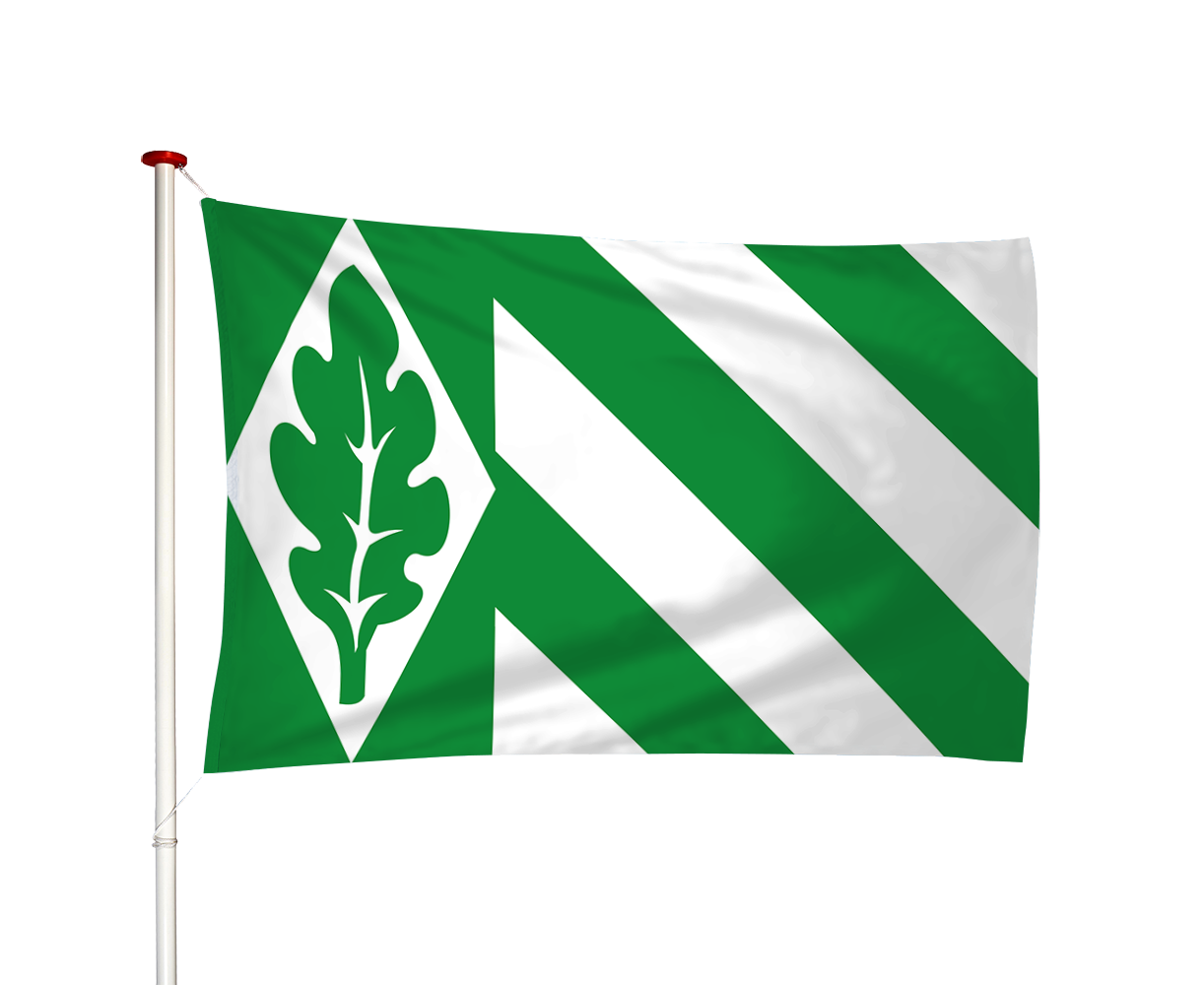 Vlag Vriezeveen