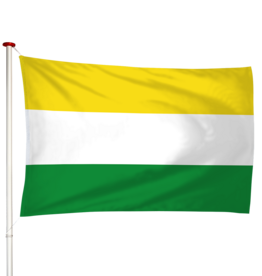 Vlag Wijhe