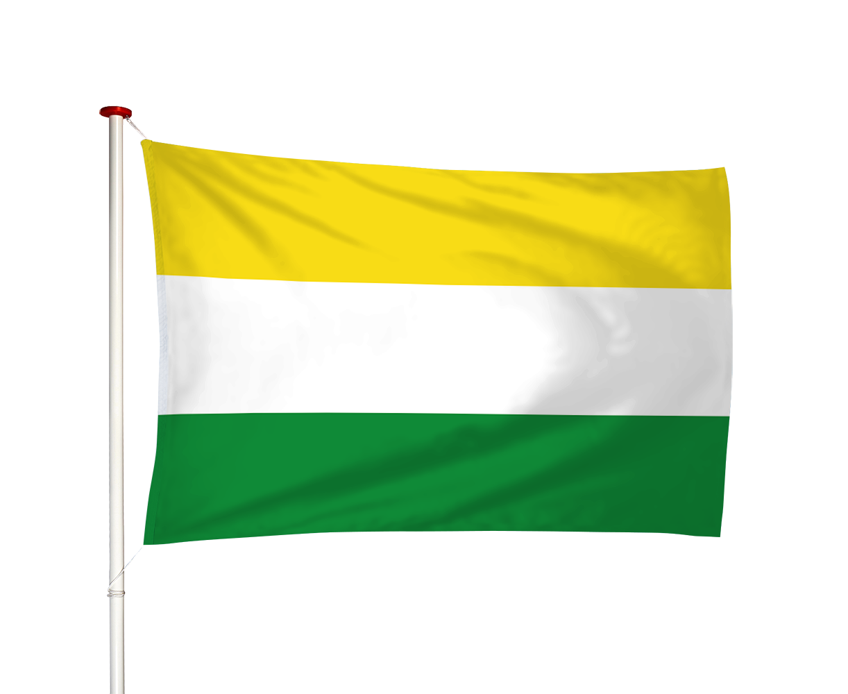 Vlag Wijhe