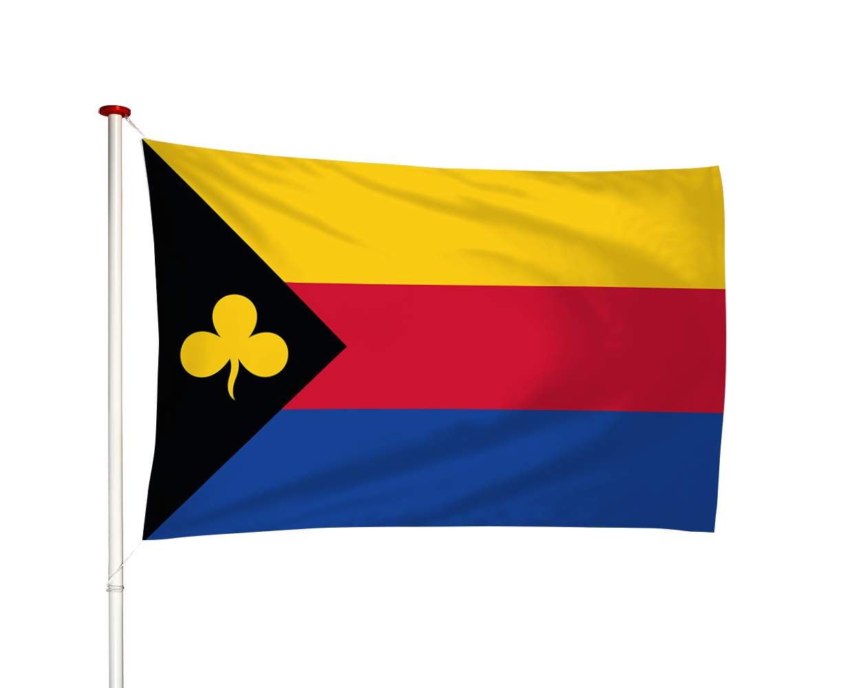 Vlag Delfzijl