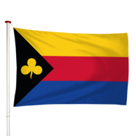 Vlag Delfzijl