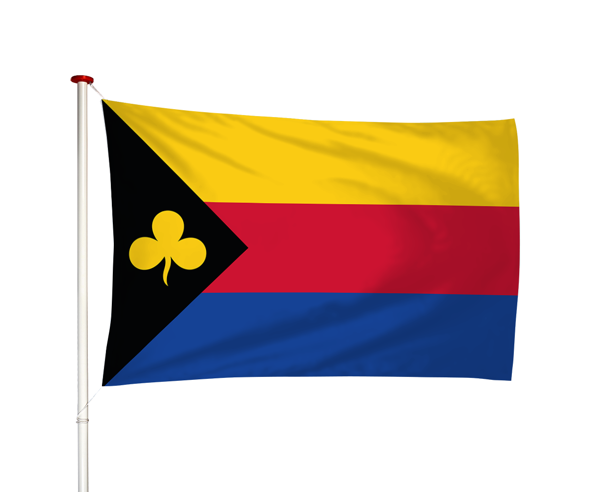 Vlag Delfzijl
