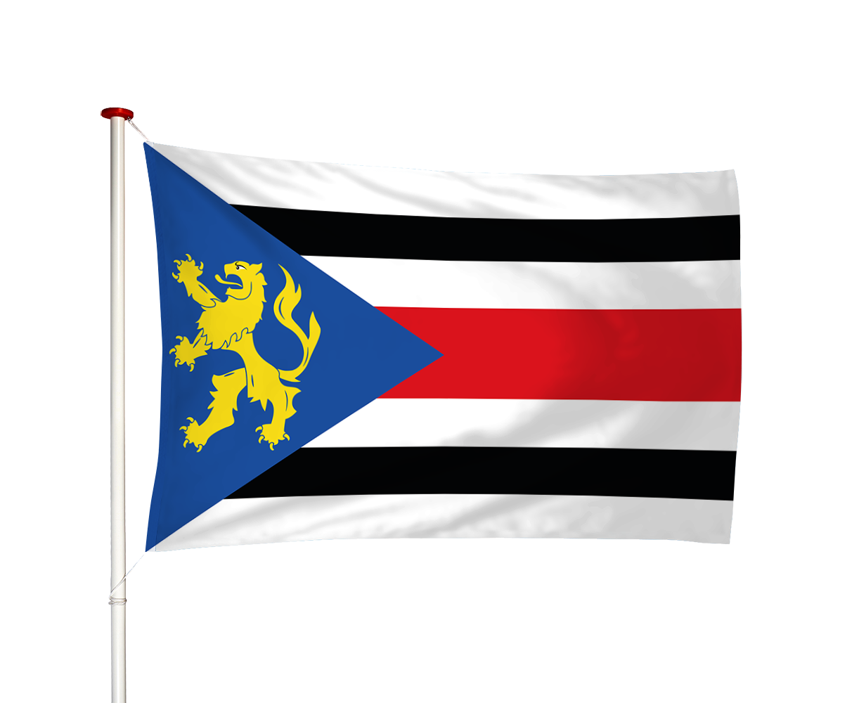 Vlag Finsterwolde