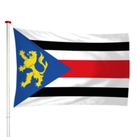 Vlag Finsterwolde