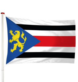 Vlag Finsterwolde