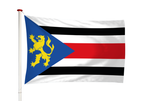 Vlag Finsterwolde